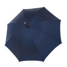 walking stick umbrella blue, topview